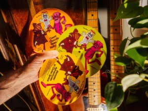 Leia mais sobre o artigo A Arte de Colecionar o ‘Lixo’: Discos de Papelão que Valem Ouro